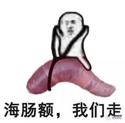走吧皮皮虾表情包
