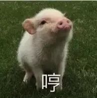 叮不靠谱脱单指南出炉
