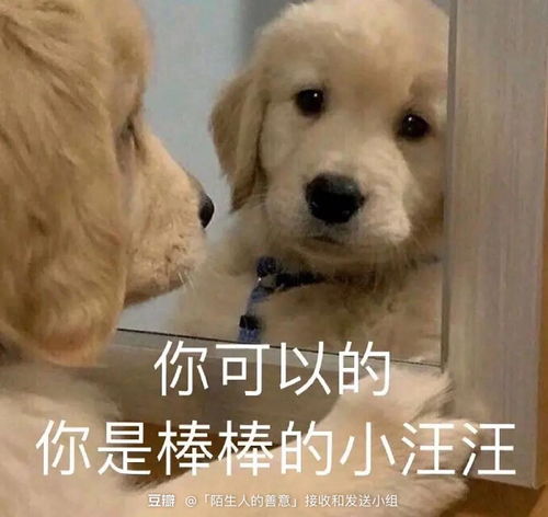 已解决博士延毕怎样回答不熟的人对自己的灵魂...
