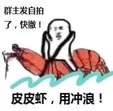 爆红的皮皮虾,我们走到底是什么鬼
