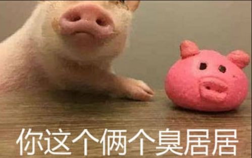女生叫男生臭居居是什么意思