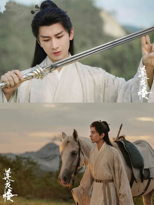 成毅莲花楼为什么评价高这几点是保障