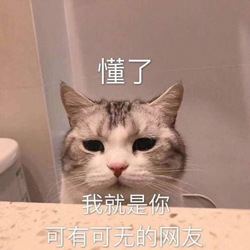 1019荐读丨微信朋友圈能评论表情包了,来斗图啊