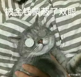 用一个表情包形容你的专业,我好像学了个假专业