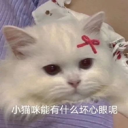 表情包坏心眼小丑能有什么坏心眼呢
