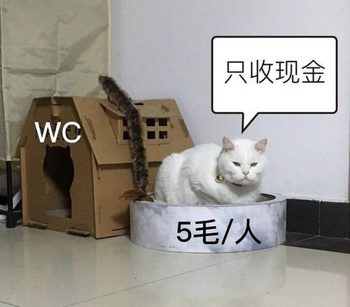 求喵喵桑的问号表情包,顺便来几张mms其他表情包