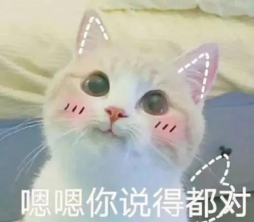 过夏天哪能穿毛衣来看稀奇带你强势围观小羊驼剃毛