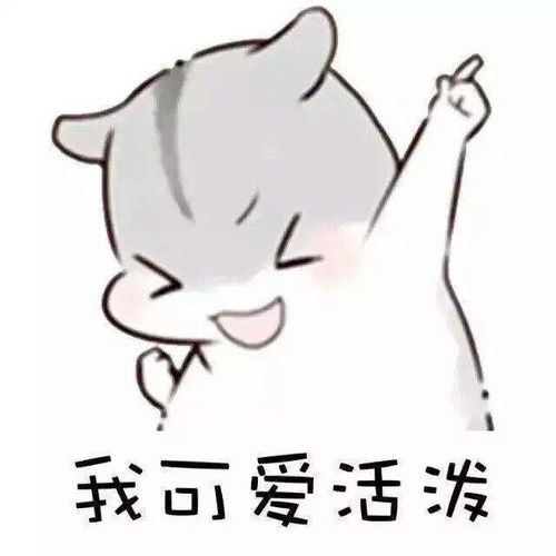 起床啦表情包 情侣仓鼠