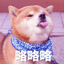 用了这么久,终于找到这些表情包的本尊了