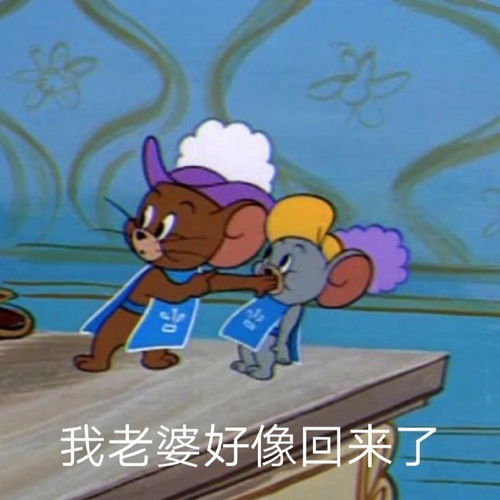 大神们,都有哪些好看的猫和老鼠的表情包
