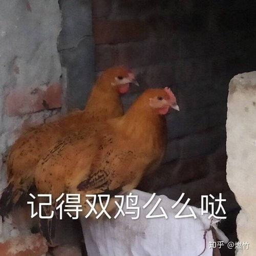 婴儿打乙肝疫苗有什么禁忌