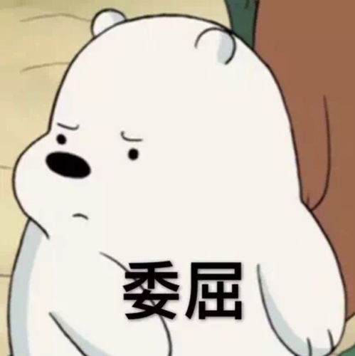 科技革新清洁方式,清易自动集尘h30plus,让生活成为享受
