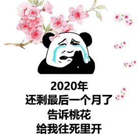 表情包沙雕表情,我来了