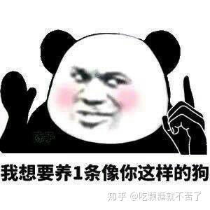 你都有哪些沙雕的表情包