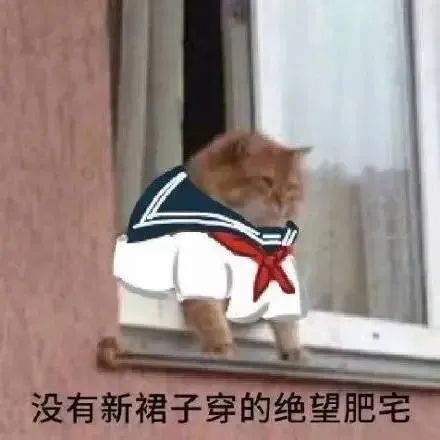 小布说天气35你以为夏天,最大的烦恼是热吗