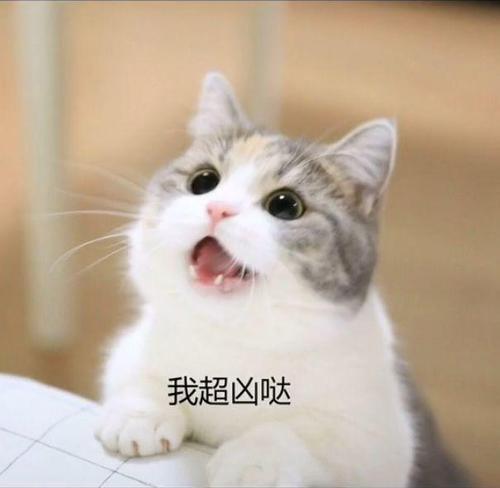 抖音三只猫咪点头表情包高清无码分享下载抖音三只猫咪点头表情包gif表情包动态图片免费版v1.0清风安卓软件网