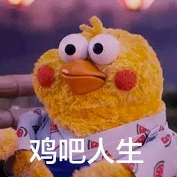 广电编的一切