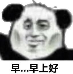 怼人专用的熊猫头你做人一定要这么飘吗我告老师
