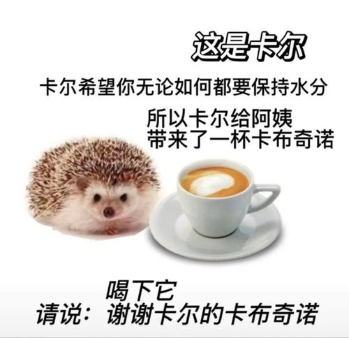最近很火的刺猬卡尔是什么梗超全表情包来啦