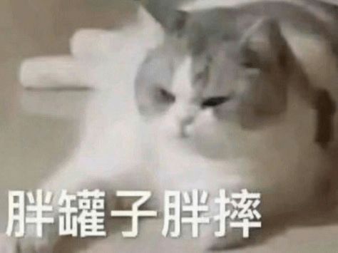 嫌弃速溶咖啡的人,你们会后悔的