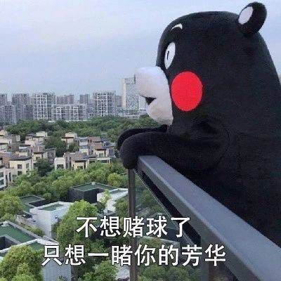 你还在等什么表情包图土味情话