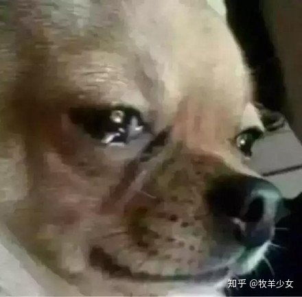 口红过期后有什么危害