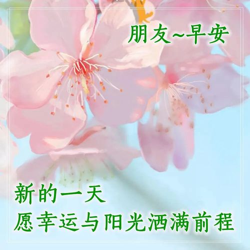 早上好问候语大全早安语录心情好的句子早上好表情包