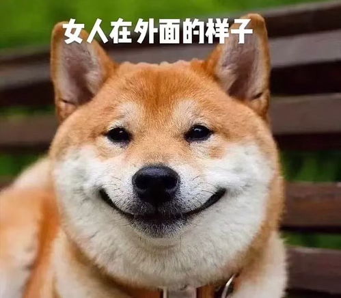 分享几张真实的表情包