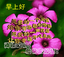 早上好表情包搞笑问候