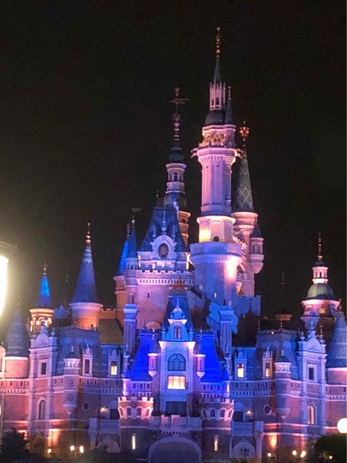 迪士尼烟花聊天背景图