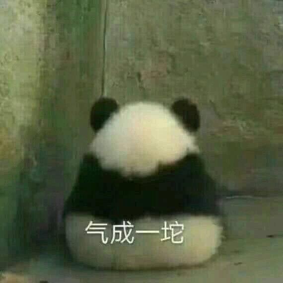 看书套路男朋友的表情包朋友圈