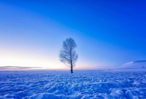 下雪天怎么拍照好看买智能手表新理由