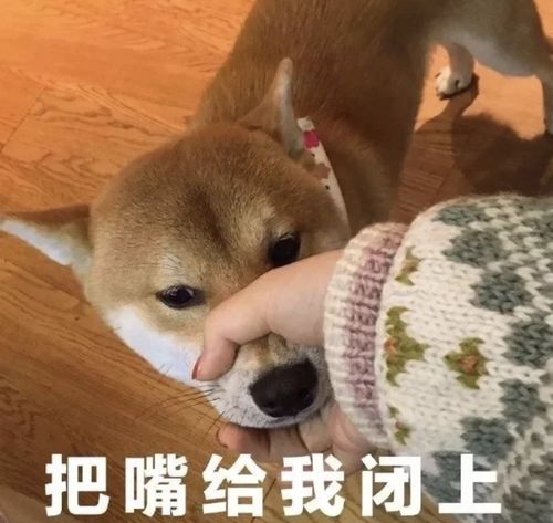 吊单杠,能长高吗