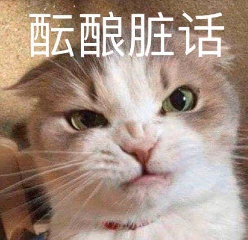 我怎么这么能干表情包试探