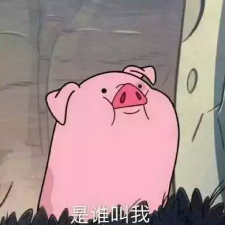 爆笑你眼中的你vs你妈眼中的你...