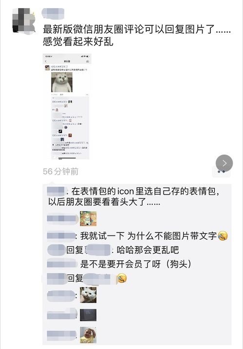 微信开头打招呼表情包朋友圈