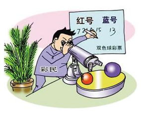 双色球胆拖相关图片