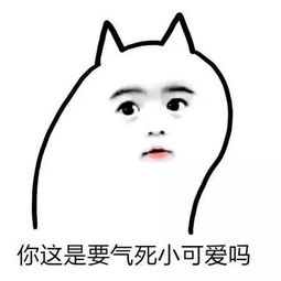 表情包丨你这是要气死小可爱吗