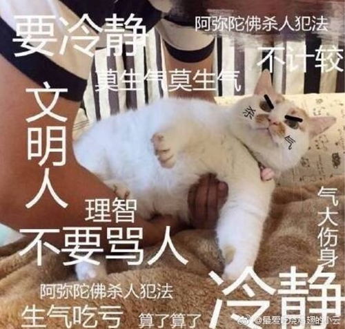 今日腊八万州阴雨夹雪又来了,气温