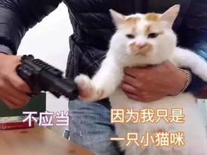 表情包心情紧张表情