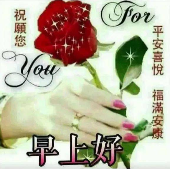 微信早上好温馨问候语表情包图片精选,非常精美的早晨好阳光祝福表情图片