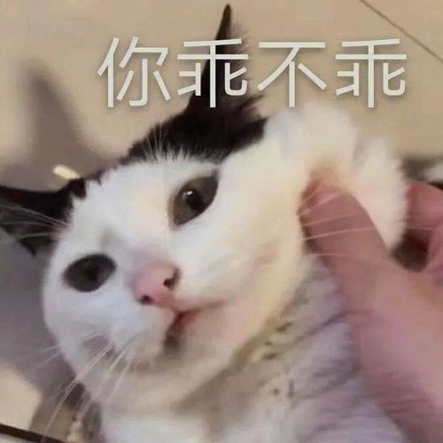 一波好笑的表情包