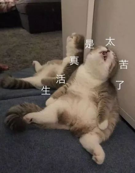 斗图小表情7.7