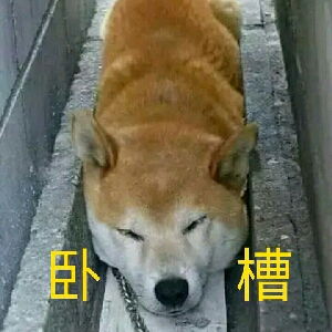 卧槽萨满恐怖游戏合集1这两个游戏一点都不恐怖
