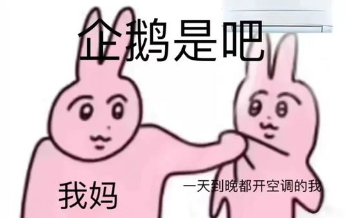 北理珠er们的假期生活实照
