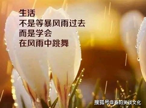 写在书签里的心情签名,精致简洁,人见人爱