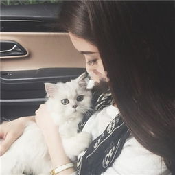 关于抱猫美女头像可爱清纯2018美女抱猫咪的头像图片