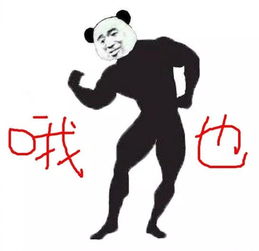 2019花的最亏的一笔钱