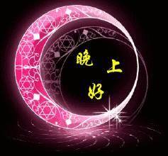 晚上好的表情晚上好表情包