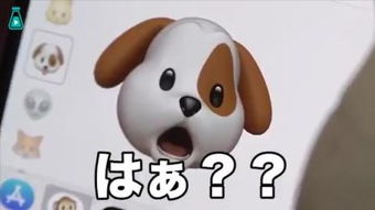 z3zimo